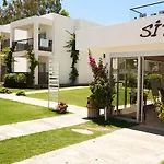 Sina (adults Only) 4*