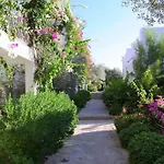 Sina (adults Only) 4* Torba