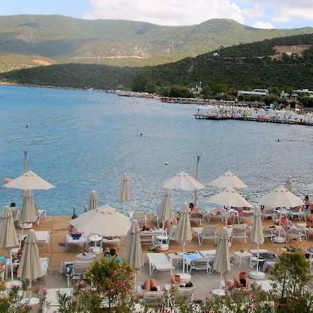 Sina (adults Only) 4*