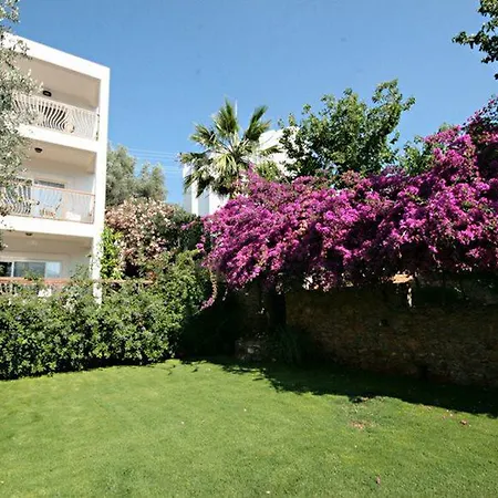 Sina (adults Only) 4*