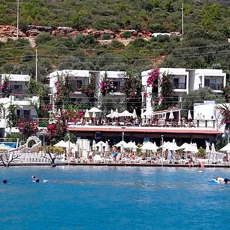 Sina (adults Only) Torba
