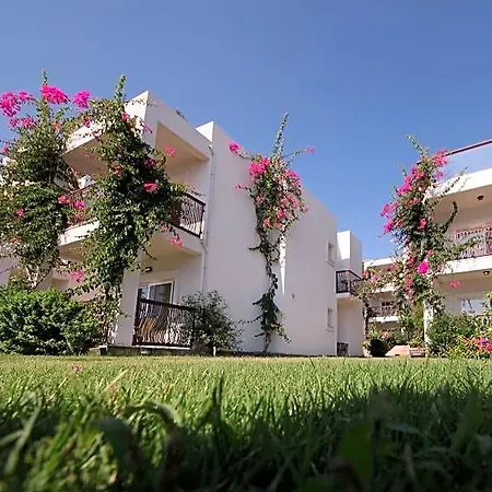 Sina (adults Only) Torba