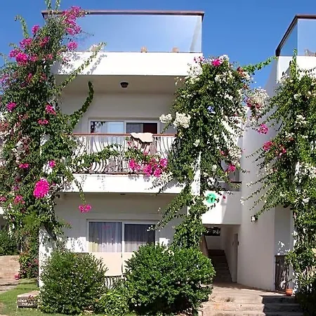 Szálloda Sina (adults Only)