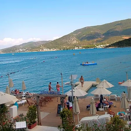 Sina (adults Only) 4*