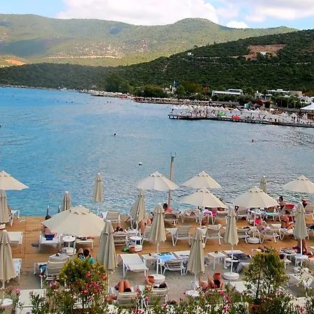 Sina (adults Only) Torba