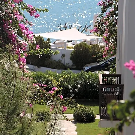 Sina (adults Only) 4* Torba