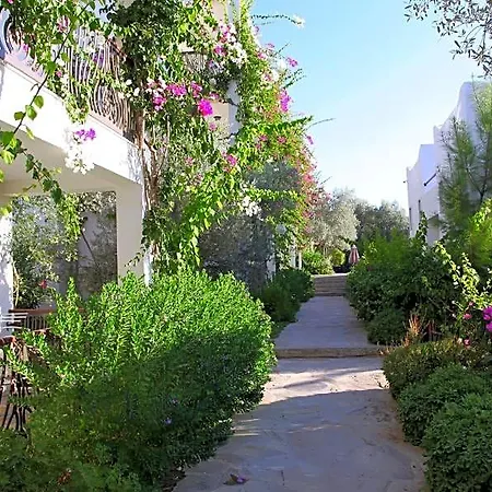 Sina (adults Only) 4* Torba