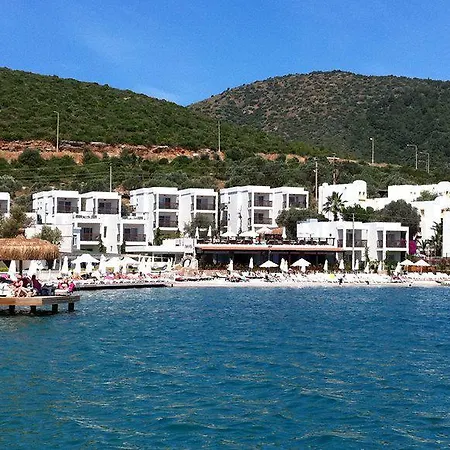 Sina (adults Only) توربا