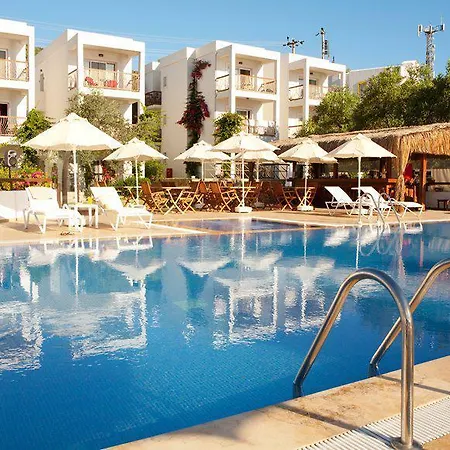 Sina (adults Only) 4*