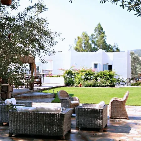 Sina (adults Only) Otel Torba