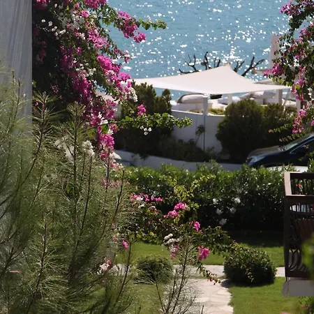 Hotell Sina (adults Only) Torba