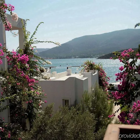 Hotell Sina (adults Only) Torba