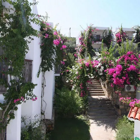 Hotel Sina (adults Only)